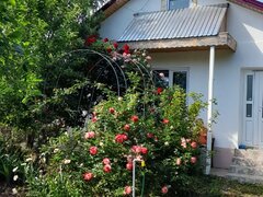 Buzau, Sat Cuculeasa